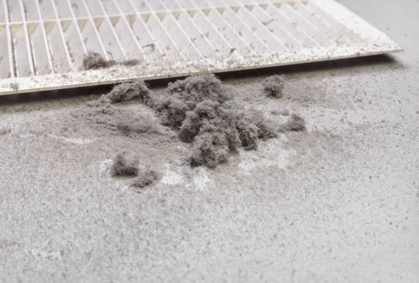 Best Air Duct Sanitizing Services  in Samoset, FL