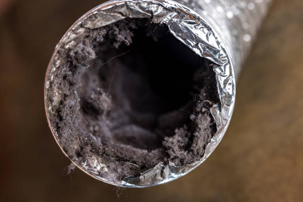 Best HVAC Air Duct Cleaning  in Samoset, FL