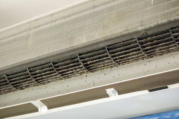 Best Affordable Duct Cleaning Services  in Samoset, FL